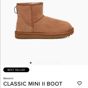 Short Chestnut Uggs Boots